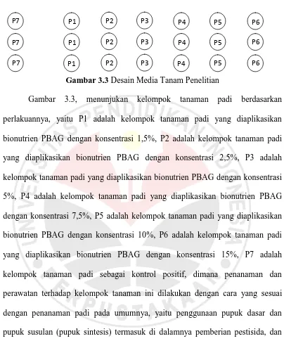 Gambar 3.3 Desain Media Tanam Penelitian 