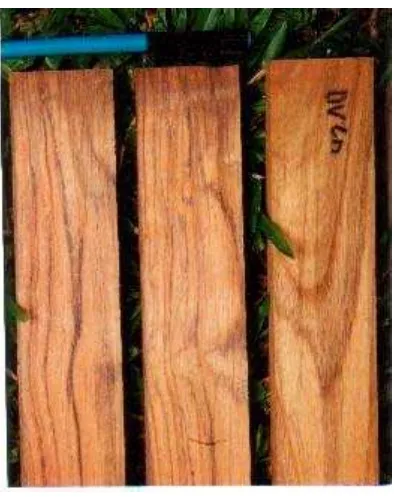 Table 1. Drying schedule of teak wood