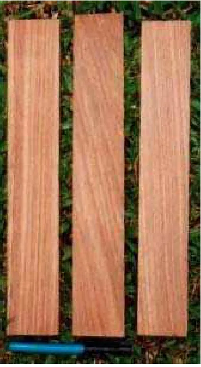 Figure 2.  Teak wood after 5th treatmentmethod.