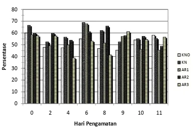 Gambar 14  Rata-rata persentase limfosit dari mencit jantan yang diinfeksi          P