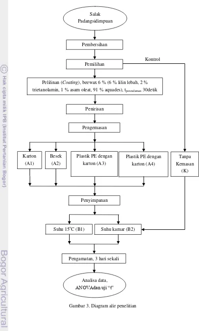 Gambar 3. Diagram alir penelitian 