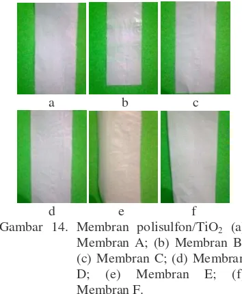 Gambar 14. Membran polisulfon/TiO2 (a) 