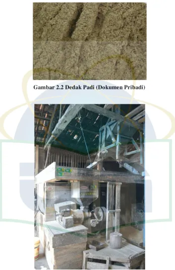 Gambar 2.2 Dedak Padi (Dokumen Pribadi) 