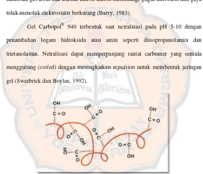 Gambar 2. Bentuk Molekul Carbopol Sebelum Dinetralisasi ( Coiled State) (Lubrizol, 2009) 