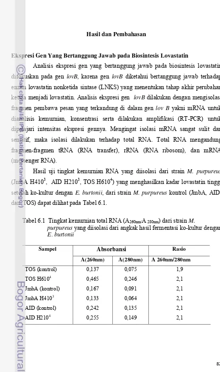 Tabel 6.1  Tingkat kemurnian total RNA (A260nm/A 280nm) dari strain M.    yang diisolasi dari angkak hasil fermentasi ko-kultur dengan 