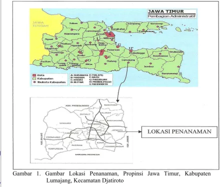 Gambar 1. Gambar Lokasi Penanaman, Propinsi Jawa Timur, Kabupaten 