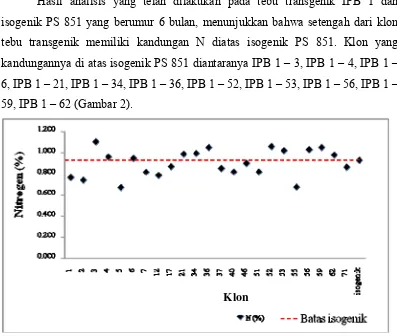Gambar 2. Grafik Hasil Analisis Kandungan Nitrogen Daun Tebu Transgenik IPB 1 dan Isogenik PS 851  