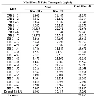 Tabel 3. Hasil Analisis Kandungan Klorofil a dan b serta Total Klorofil Daun Tebu Transgenik IPB 1 dan Isogenik PS 851  