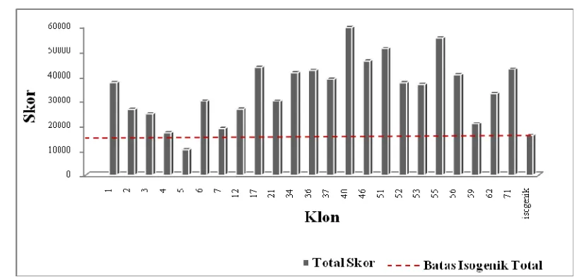 Gambar 5. Grafik Total Skor Masing-Masing Klon Tebu Transgenik 