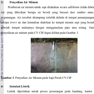 Gambar 3. Penyedian Air Minum pada Sapi Perah CV CIF 