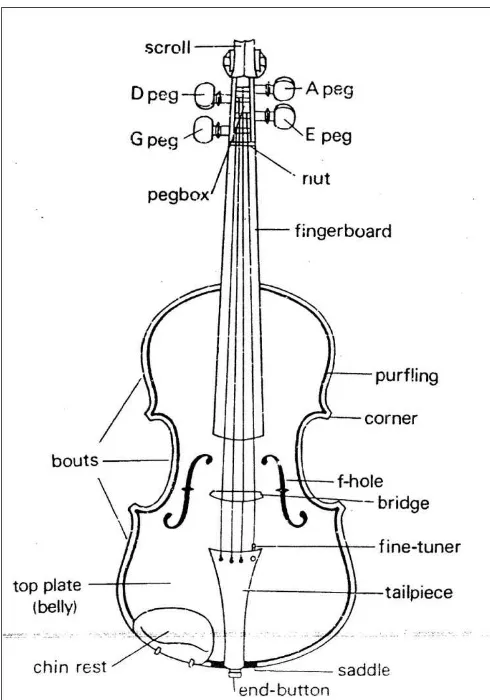 Gambar 2. Struktur violin modern (tampak depan) (Sadie. 2002:704)  