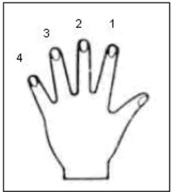 Gambar 16. Kode penjarian tangan kiri Vivien. 2012 