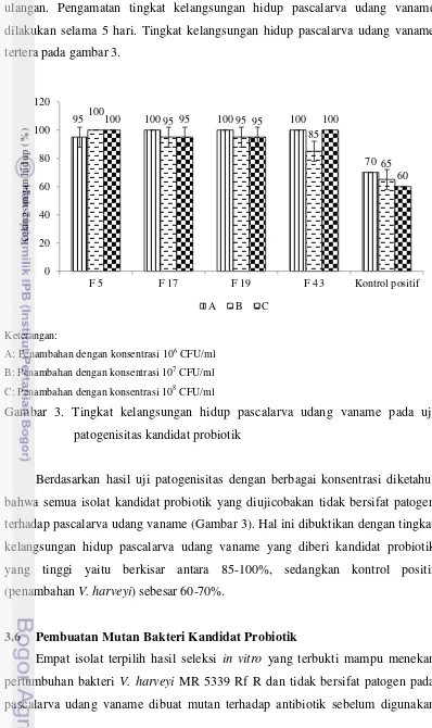 Gambar 3. Tingkat kelangsungan hidup pascalarva udang vaname pada uji 