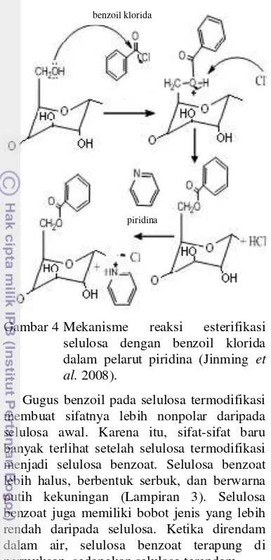 Gambar 5  Hasil foto SEM: selulosa benzoat 
