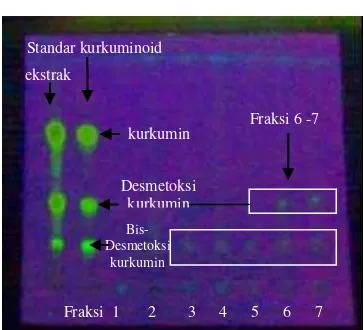 Gambar 11  Hasil KLT  fraksi kolom, standar xantorizol, dan ekstrak temu lawak dengan eluen heksana:etil asetat (10:1) pada sinar UV 254 nm