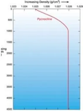 Grafik Densitas-Tekanan Air Laut
