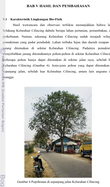 Gambar 4 Pepohonan di sepanjang jalan Kelurahan Cilincing 