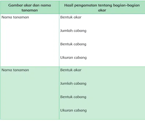 Gambar akar dan nama 