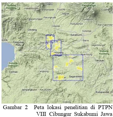 Gambar 2  Peta lokasi penelitian di PTPN 