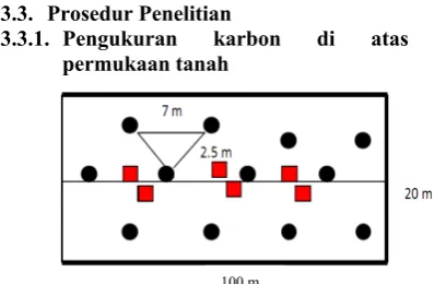 Gambar 1  Desain plot pengamatan. 