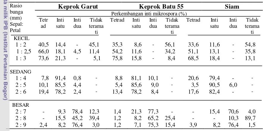 Tabel 1. Persentase perkembangan inti mikrospora pada  jeruk keprok Garut, 