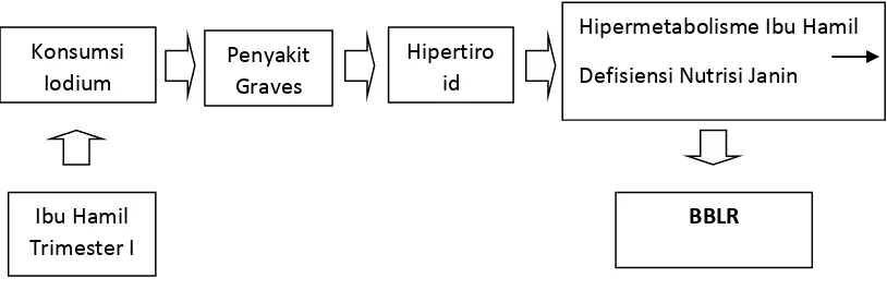Gambar 2.3 Patofisiologi Kelahiran BBLR Akibat  Penyakit Hipertiroid 