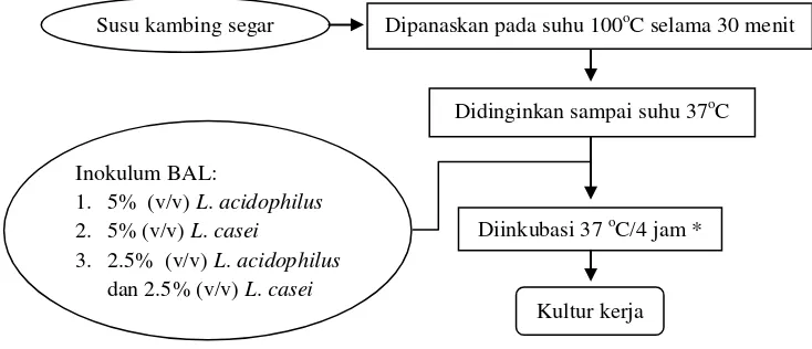 Gambar 2. Diagram alir pembuatan kultur kerja dengan modifikasi metode Daulay (1991)  