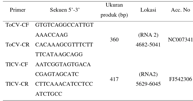 Tabel 3  Oligonukleotida primer yang digunakan dalam PCR untuk meng- amplifikasi virus ToCV dan TICV secara terpisah 