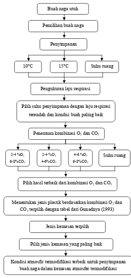 Gambar 2. Diagram alir prosedur penelitian penyimpanan buah naga dengan kemasan atmosfer termodifikasi 