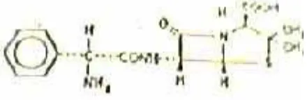 Gambar 2. Struktur kimia ampisilin (Farmakope IV, 1995) 