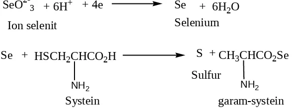 Gambar 4.8 Reaksi Reduksi Selenit