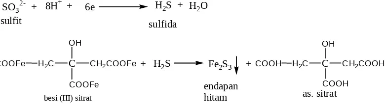 Gambar 4.12 Reaksi Sulfida dengan Besi (III) Sitrat