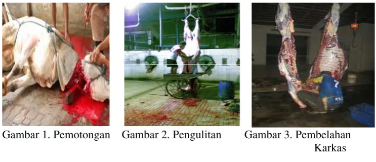 Gambar 1. Pemotongan