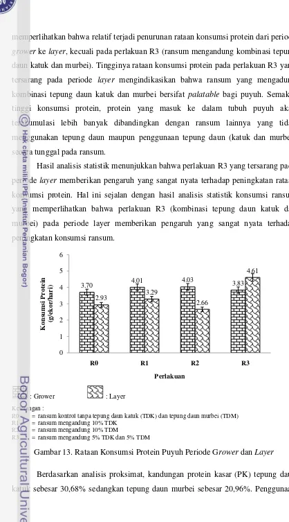 Gambar 13. Rataan Konsumsi Protein Puyuh Periode Grower dan Layer 