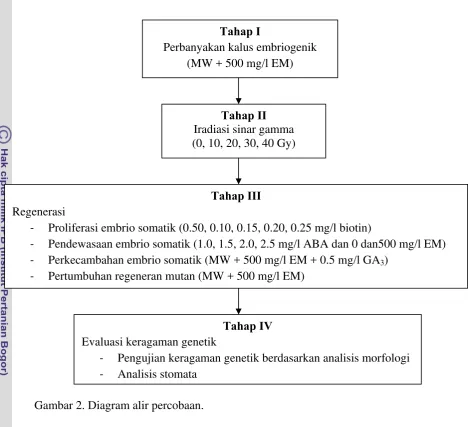 Gambar 2. Diagram alir percobaan. 