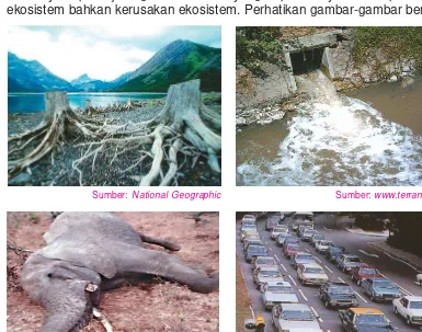 Gambar 3.2  Berbagai kegiatan manusia yang dapat merusak ekosistem