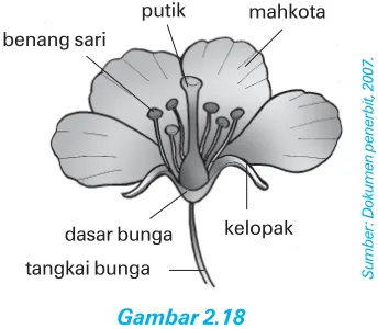 Gambar 2.17Merundukkan tanaman