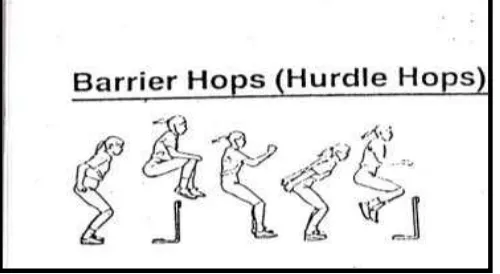 Gambar 2.3 Gerakan Hurdle hops Sumber: Donald A. Chu Jumping Into Plyometrics 