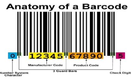 Gambar 2.11 Anatomi Barcode