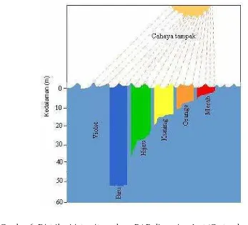 Gambar 6 Distribusi intensitas cahaya PAR di perairan laut (Castro dan Huber