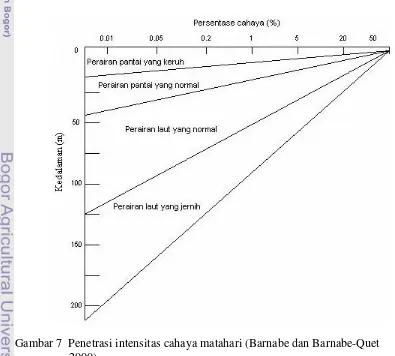 Gambar 7 Penetrasi intensitas cahaya matahari (Barnabe dan Barnabe-Quet