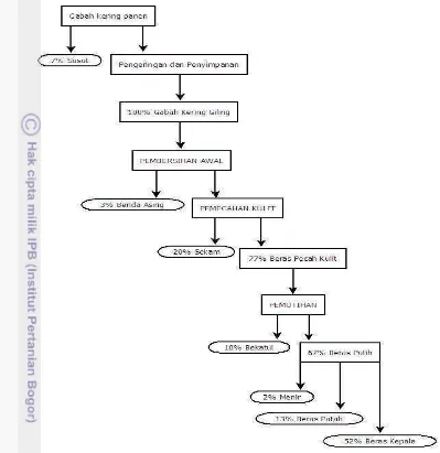 Gambar 1. Diagram Alir Perubahan Bobot Butiran Padi (sumber Patiwiri, 2006) 