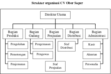 Gambar  3.1 Struktur organisasi CV Obor Super 
