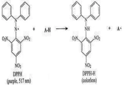 Gambar 2 Reaksi DPPH dengan antioksidan. 