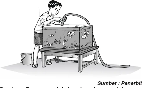 Gambar : Banu mengisi akuarium dengan air kran