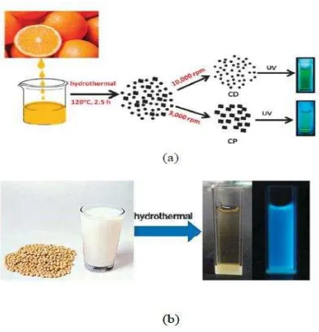 Gambar 2.3 Illustrasi pembuatan C-Dots dari (a) sari jeruk dan (b) susu kedelai. 