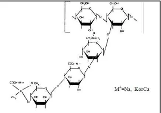 Gambar 2.12 Monomer Asam Poliakrilat dalam Polimer Karbomer 