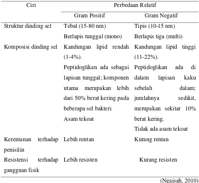 Tabel 2.2. Perbedaan bakteri Gram positif  dan Gram negatif 