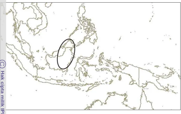 Figure 8  Distribution map of Rhynchoglossum borneense in Malesia in the circle 