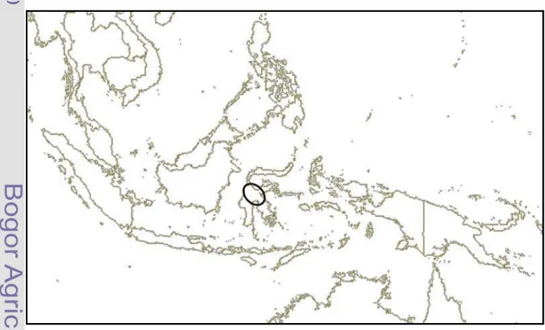 Figure 9  Distribution map of Rhynchoglossum celebicum in Malesia in the circle 